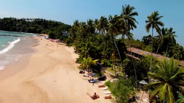 Voando Acima Das Palmeiras Perto Área Residencial Golden Sand Beach — Vídeo de Stock