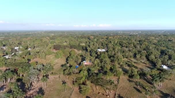 Rural Farm Tropical Landscape Mal Nombre Santo Domingo Dominican Republic — Vídeo de stock