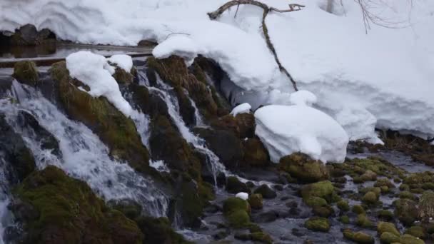 Snabbt Rinnande Vatten Över Gröna Mossbeklädda Stenarna Kyogoku Fallen Som — Stockvideo