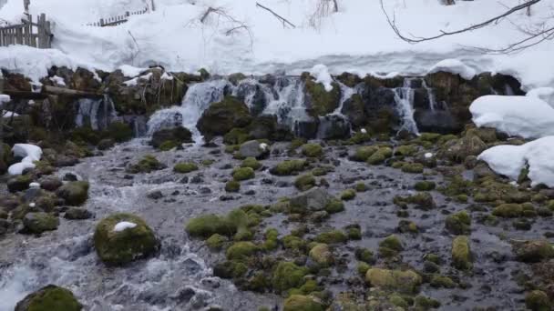 Snabbt Rinnande Vatten Över Stora Stenarna Som Delvis Täckta Med — Stockvideo