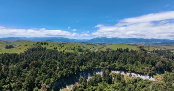 Flying Ruahine Dress Circle Forests Rugged Cliffs New Zealand — ストック動画