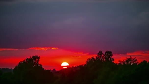 太陽は濃い木の森の上に赤い火の空に対してセットします タイムラプス — ストック動画