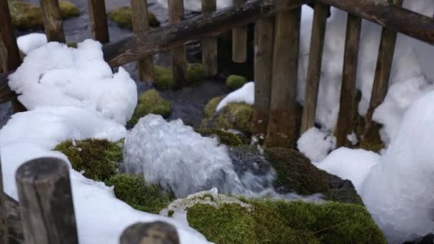 Rapidly Flowing Clear Water Green Moss Covered Rock White Snow — Vídeo de stock