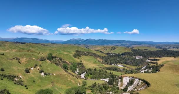 Lety Přes Zvlněné Letní Zelené Kopce Zemědělská Půda Aotearoa — Stock video