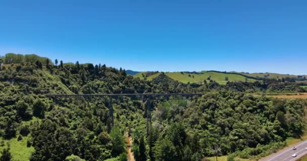 Voe Pela Rodovia Direção Viaduto Ferroviário Mangaweka Floresta Nova Zelândia — Vídeo de Stock