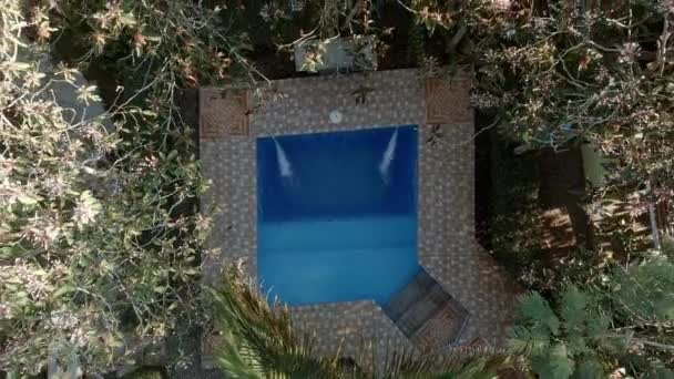 Malý bazén v tropické zahradě. shora dolů stoupající