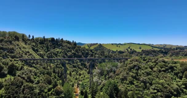 Volo Attraverso Valle Verso Ponte Mangaweka Lussureggiante Foresta Nuova Zelanda — Video Stock