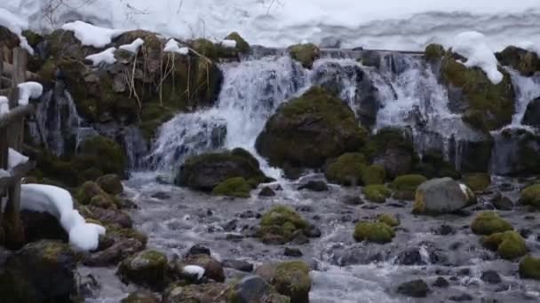 Rapidly Flowing Water Kyogoku Falls Moss Covered Rocks Fukidashi Park — стоковое видео