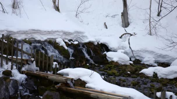 Slowly Flowing Water Kyogoku Waterfalls Fukidashi Park Nice Thick Pack — Vídeos de Stock