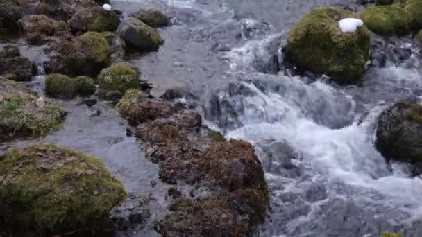 Fast Flowing Water Large Dark Stones Which Largely Covered Green — Video