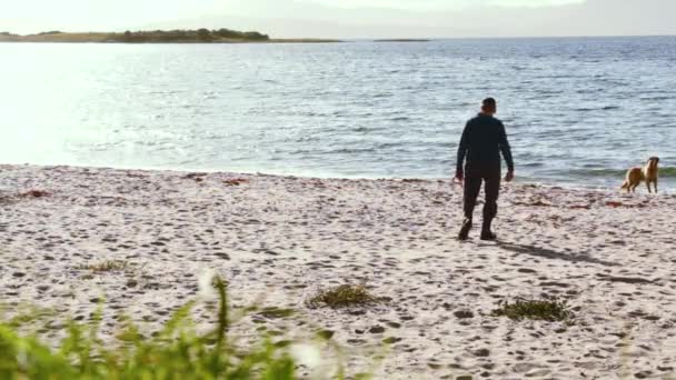 Man Walks Out His Dog Beach Throw Toys Ocean Dog — Vídeo de Stock