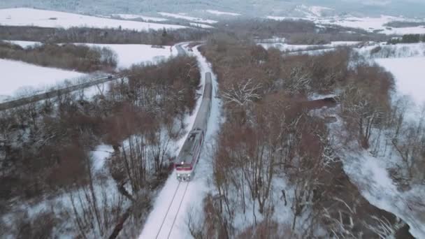 Treno Interurbano Passeggeri Movimento Nel Paesaggio Invernale Vista Aerea — Video Stock