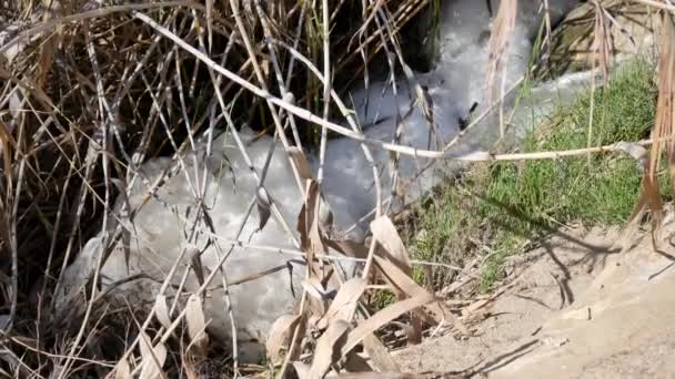 Schaum Aus Verschmutztem Wasser Einem Schmutzkanal — Stockvideo