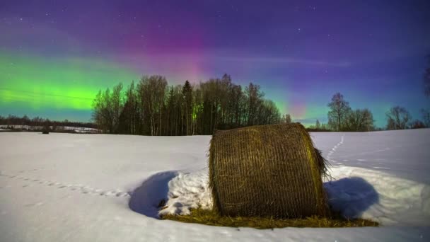 Breathtaking Glowing Aurora Borealis Lights Purple Sky Evening Stars Snowy — стокове відео