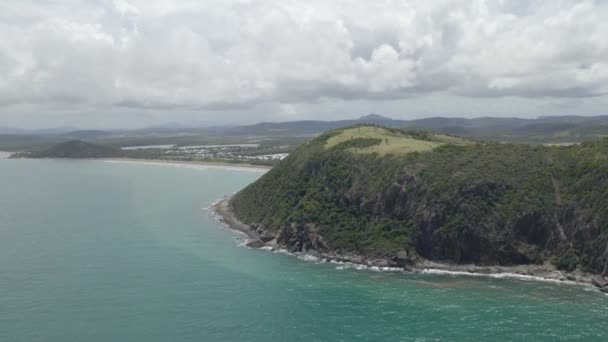 Buja Zöld Növények Nőnek Capricorn Coast Nemzeti Park Teknős Kilátó — Stock videók