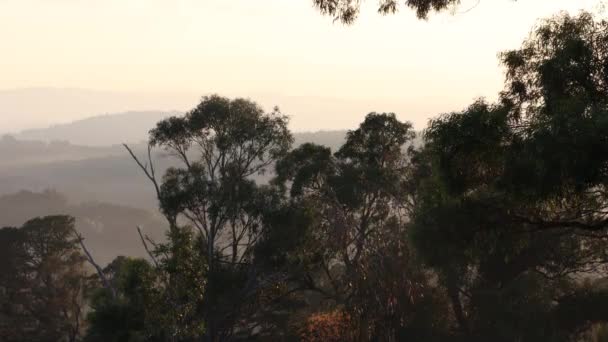 Sol Temprano Mañana Entre Cordillera Victoria Rural Con Árboles Goma — Vídeos de Stock