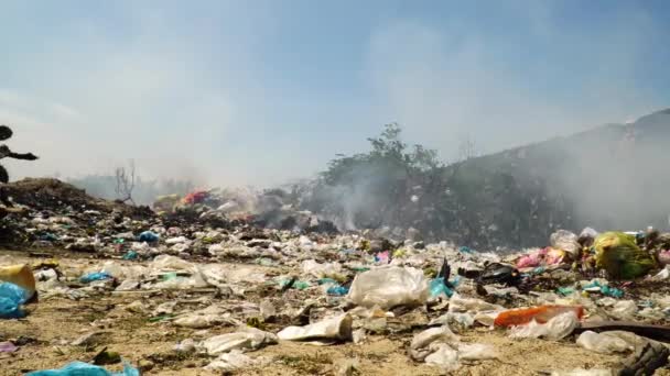 Panning Shot Burning Trash Plastic Trash Rubbish Outdoors Nature Sunny — Stok Video