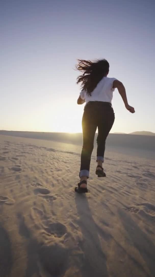 Corsa Dinamica Fuerteventura Canarino Dune Dell Isola Spagnola Verticali — Video Stock