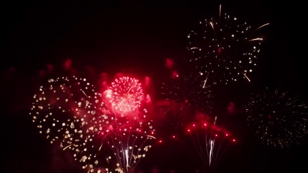 Fogos Artifício Reais Coloridos Exibem Celebração Véspera Ano Novo Com — Vídeo de Stock