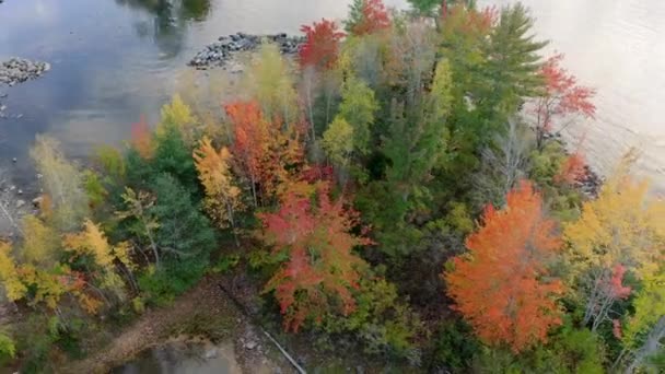 Aerial View Vibrant Fall Forest Foliage Maine Usa High Angle — Stock video