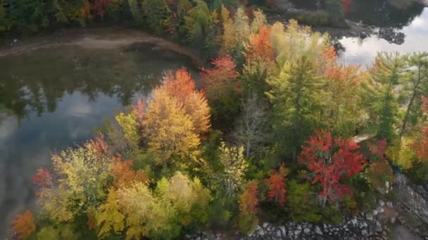 Letecký Pohled Blíží Barevné Listoví Podzimní Větve Maine Usa Kroužení — Stock video