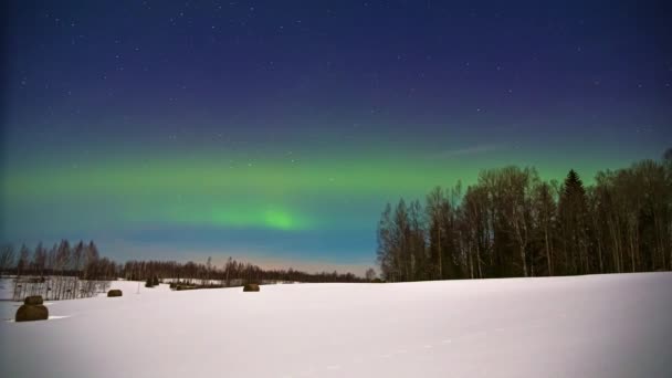 Time Lapse Shot Epic Northern Lights Blue Colored Night Sky — Stock Video