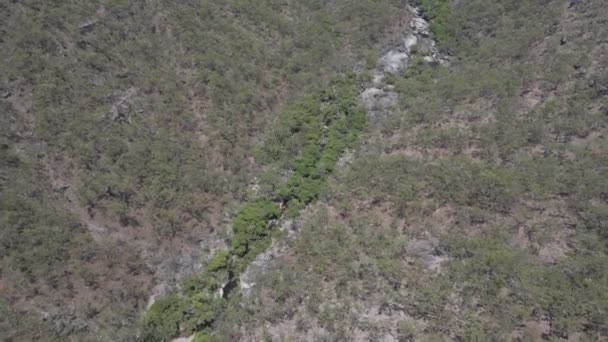 Forested Landscape Stream Flowing Sunny Day Davies Creek Bare Hill — Stok video