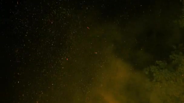 Flying Embers Huge Forest Fire Dark Sky Inglês Tiro Ângulo — Vídeo de Stock