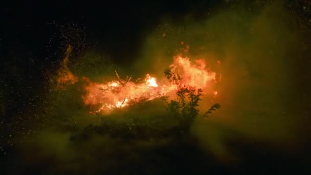 大火中的强风 浓烟和火花在夜间在森林中飘扬 慢动作 — 图库视频影像