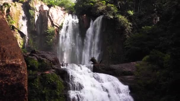 Fantastiskt Vattenfall Costa Rica Tropisk Djungel — Stockvideo