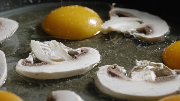 Makro Skott Skivade Champignon Svampar Ägg Pan Beströdd Med Salt — Stockvideo