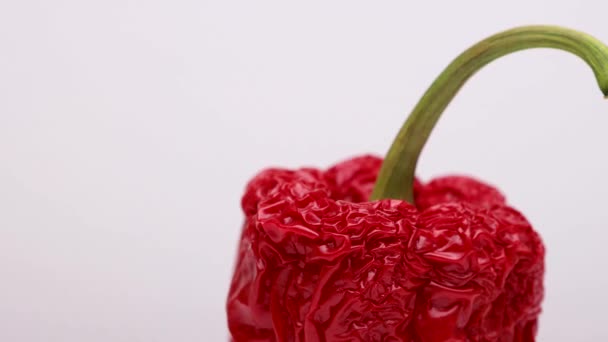 Vrchní Část Vrásčité Pulzující Červené Papriky Zeleným Stonkem Rotující Ukazuje — Stock video