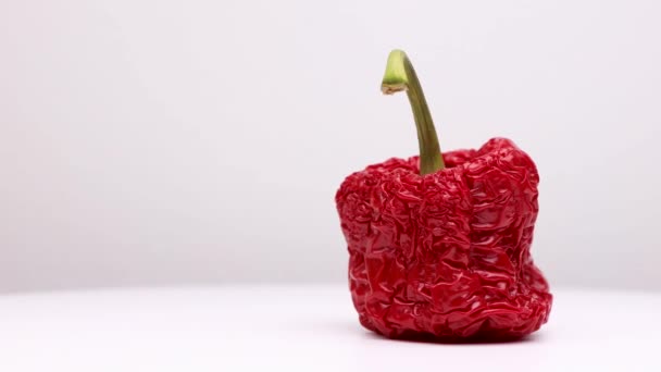 Rugosa Vibrante Rosso Prosciugato Paprika Con Gambo Verde Rotante Mostrando — Video Stock