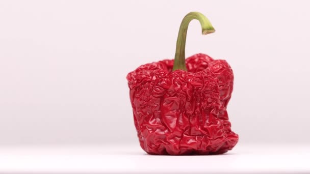 Detail Textura Vysušené Paprikové Papriky Neuvěřitelně Zářivou Červenou Slupkou Zakřiveným — Stock video