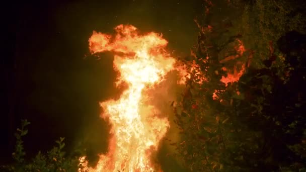 Incêndios Agressivos Incêndio Florestal Céu Noite Movimento Lento — Vídeo de Stock