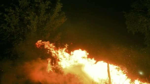 嵐の夜に荒野で火事を起こす スローモーションで炎が燃える — ストック動画
