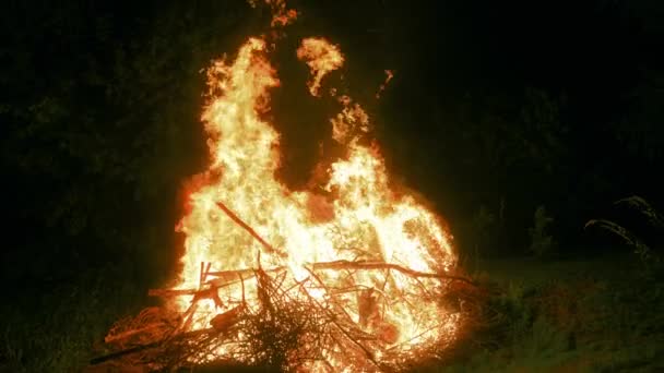 Fuego Gigantesco Espontáneo Medio Del Bosque Oscuro Tilt Cámara Lenta — Vídeos de Stock