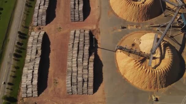 Piles Trunks Sawdust Mountains Paper Mill Factory Fray Bentos Uruguay — стоковое видео