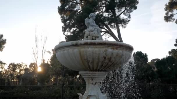 Stone Fountain Rosaleda Retiro Park Madrid Basin Has Water Falling — Stok video