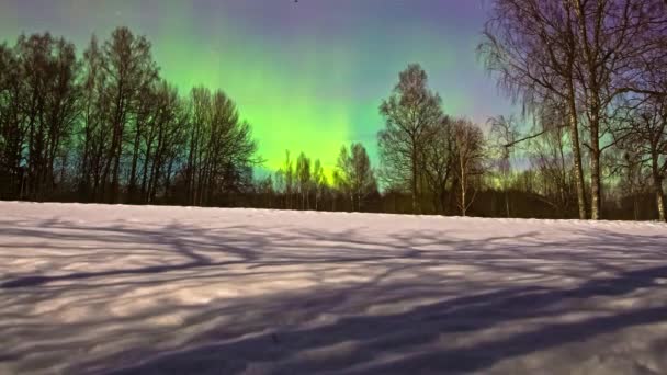 Timelapse Colorful Northern Lights Dancing Snow Covered Field Forest Background — стоковое видео