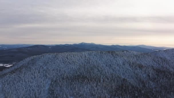 Fly Dense Thicket White Frosted Forest Mountains Eastern Quebec Canada — Vídeos de Stock