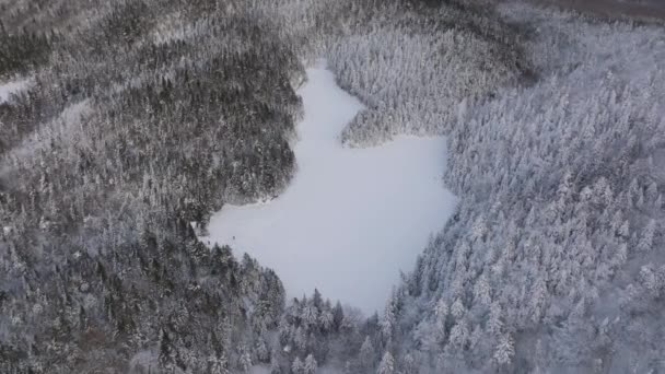 Aerial Panorama Frozen Lake Surrounded Dense Forest Winter Drone Orbiting — Vídeo de Stock