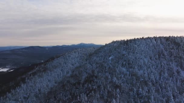 加拿大魁北克广阔的森林和山地景观 空中拍摄 — 图库视频影像