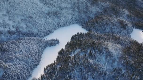 Vista Panorâmica Das Montanhas Floresta Com Rio Congelado Durante Inverno — Vídeo de Stock