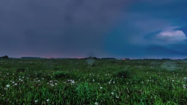 春の曇りの日に野生の白い花と緑の田園風景の上のタイムラプスで雨や雷の雲の眺め — ストック動画