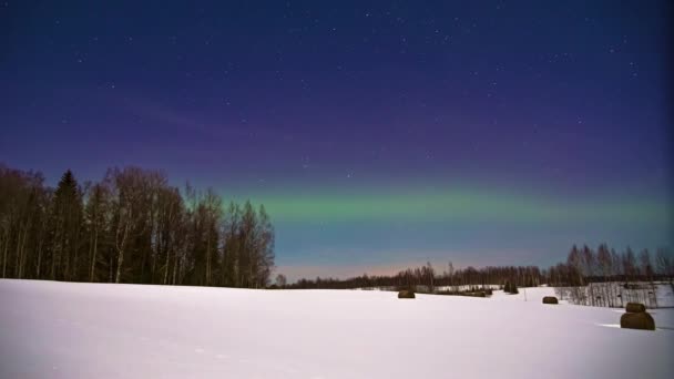 在夜空中时间流逝的壮观的明亮的极光 美丽的北极光或北极光在满月之夜覆盖农田 — 图库视频影像