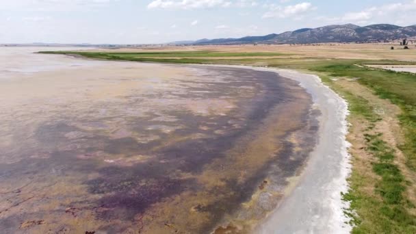 Gallocanta Lake Aragon Spain Aerial Drone View Endorheic Salt Water — 비디오