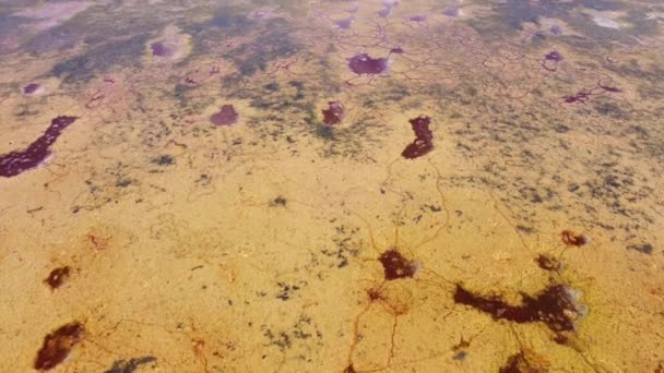 Gallocanta Lake Aragon Spain Aerial Drone View Reveal Endorheic Salt — Stockvideo
