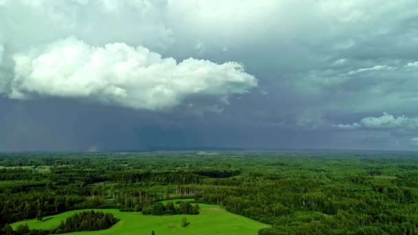 Aerial View Lush Green Vegetation Forest Cloudy Day Thick White — Vídeo de stock