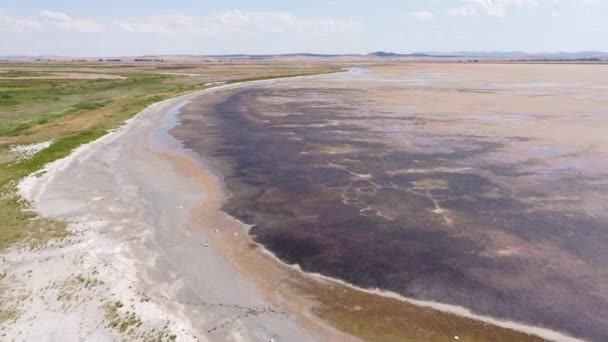 Gallocanta See Aragon Spanien Drohnenblick Auf Den Endorheic Salzwassersee — Stockvideo